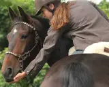 Reiterin mit Sidepull-Trense streichelt Pferdekopf. Vertrauensvoller Moment beim Reiten mit Sidepull.