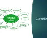 Symptome von allergischem Asthma: Engegefühl, Kurzatmigkeit, Herzrasen, Husten, fehlende Luft, Hustenanfälle, pfeifendes Geräusch, Angst, Atemnot, bläuliche Lippen.