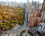 Höstfärger i Central Park, New York. Gula taxibilar trängs på gatorna i Big Apple.