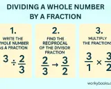 Steps to divide a whole number by a fraction: write whole number as fraction, find reciprocal of divisor, multiply fractions.