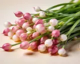 Un bouquet de ciboulette, ses jeunes pousses roses et blanches, prêtes à pousser à l'ombre ou au soleil.