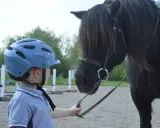 Chłopiec w niebieskim kasku i koszulce polo trzyma wodze czarnego konia. To początek nauki, jak jeździć konno.