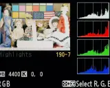 Histogram co to? Wykresy RGB pokazują rozkład jasności na zdjęciu z lalkami i flagą USA.