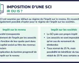Comparaison de l'imposition d'une SCI : impôt sur le revenu (IR) vs impôt sur les sociétés (IS). L'IR est le régime par défaut.