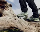 Zielone buty trekkingowe na pniu drzewa. Idealne na górskie wędrówki, zapewniające stabilność i komfort.