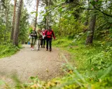 En grupp vandrare går längs en grusväg genom en lummig skog, en del av pilgrimsleder Sverige.
