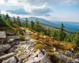 Kamienista ścieżka w górach Karkonoszach, widok na dolinę i szczyty. Szklarska Poręba jakie góry oferuje? Te!