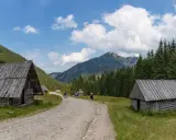Kamienne schroniska i lasy w Dolinie Chochołowskiej. Trasa turystyczna wiodąca przez malowniczy krajobraz Tatr.