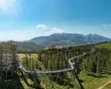 Spacer w chmurach Zakopane: drewniana wieża widokowa i ścieżka w koronach drzew pośród zielonych lasów i gór.