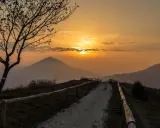 Sentiero sul pianoro del Mottolone al tramonto, con un albero spoglio in primo piano e colline nebbiose all'orizzonte.