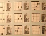 Diagramy akordów na gitarze: A7, B7, Bb, D, D7, E, F, G, G7. Poznaj, ile jest akordów na gitarze, ucząc się tych podstawowych chwytów.