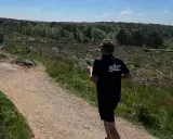 Grupp löpare njuter av trail running i en kuperad, skogig terräng under en solig dag.