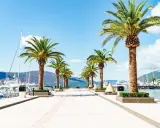 En vacker strandpromenad med palmer leder mot en hamn full av lyxyachter. En perfekt vy vid en flygplats i Montenegro.