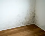 Moho en la esquina de una habitación, indicativo de problemas de humedad y posible alta temperatura de condensación.