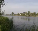 Spokojne jezioro wilanowskie z domami na brzegu i trzcinami na pierwszym planie.