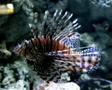 Oceanarium Niechorze: Czy warto? Opinie, ceny, porady