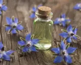 Flacon d'huile de bourrache entouré de fleurs bleues sur fond de bois. Découvrez les bienfaits de cette huile précieuse.