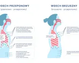 Ilustracja pokazuje dwa rodzaje wdechu: przeponowy i brzuszny. Wdech przeponowy angażuje przeponę, która opada, ułatwiając oddychanie.