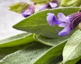 Feuilles et fleurs de sauge sclarée, évoquant ses nombreux bienfaits pour le bien-être.