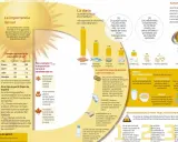 Vitamina D medicamento: Dosis, usos y riesgos que debes saber