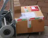 Paczki na wózku, gotowe do wysyłki. Ubezpieczenie paczki DHL to pewność, że dotrze bezpiecznie.