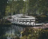 Drewniany mostek nad ciemną wodą, otoczony lasem i skałami. Piękny krajobraz w okolicach Drammen, Norwegia.