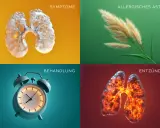 Vier Bilder zeigen: Lunge mit Symptomen, Gräser (allergisches Asthma), Wecker (Behandlung) und entzündete Lunge. So ist Asthma.