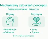 Objawy zaburzeń percepcji: nierealność, odcięcie. Przyczyny: stres, trauma. Depersonalizacja może być skutkiem tych czynników.