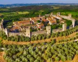 Borghi medievali vicino Firenze, un gioiello fortificato tra ulivi e vigneti, con torri e mura che raccontano storie antiche.