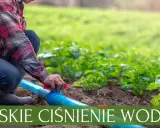 Niskie ciśnienie w zraszaczach? Diagnoza i skuteczne rozwiązania