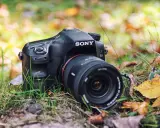 Lustrzanki Sony: Koniec produkcji. Używane SLT czy bezlusterkowce?