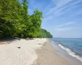 Plaża w Gdańsku z zielonym lasem po lewej i spokojnym morzem po prawej. W oddali widać zabudowania.