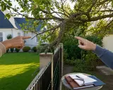Deux voisins se disputent, pointant du doigt une branche d'arbre qui dépasse. Mon voisin refuse de couper ses branches.