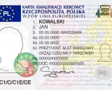 Świadectwo kwalifikacji zawodowej: Twój klucz do lepszej pracy?