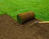 Préparer le sol pour comment refaire sa pelouse. Un rouleau de gazon est prêt à être posé sur la terre fraîchement ratissée.