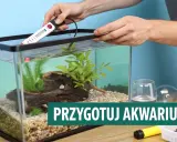 Akwarium dla gupików: Jaki rozmiar i sprzęt? Uniknij pomyłek!
