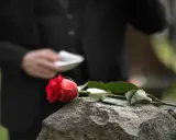 Czerwona róża na kamieniu, symbol żałoby i trudnego działu spadku. W tle postać w czerni.