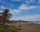 Sonniger Strand an der Costa del Sol mit Palmen, Menschen und dem Meer im Hintergrund.