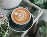 Perfekte Cappuccino Zubereitung mit Latte Art. Ein Kunstwerk aus Milchschaum auf Kaffee, neben grünen Pflanzen.