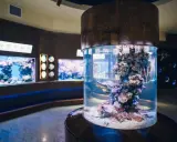 Akwarium Gdyńskie: Zdjęcia jak z National Geographic? Poradnik!
