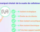 Une femme présente les avantages de la ouate de cellulose : isolant écologique, durable, acoustique, thermique et bon rapport qualité/prix.