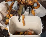 Des restes de légumes, dont des épluchures de carottes, sont ajoutés à un composteur. Ce processus prépare le futur jus de bokashi.