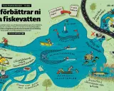 Illustration visar åtgärder för att förbättra fiskevatten i Sverige: provfiske, e-DNA, lekgrus, risvasar och återställning av våtmarker.