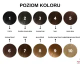 Paleta odcieni farb do włosów: od czarnego (1) przez różne brązy (2-5) po blondy (6-10).