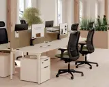Aménagement de nouveaux bureaux lumineux avec postes de travail modernes, chaises ergonomiques et plantes vertes pour un environnement de travail agréable.