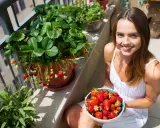 Une femme souriante tient un bol de fraises fraîchement cueillies à côté d'un fraisier en pot débordant de fruits rouges sur un balcon ensoleillé.