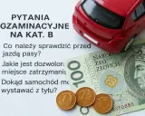 Pytania egzaminacyjne na kat. B, banknot 100 zł i monety. Zastanawiasz się, ile kosztuje wyrobienie prawa jazdy?