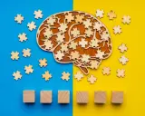 Forma di cervello in legno con pezzi di puzzle sparsi, che simboleggiano il metodo Feuerstein e lo sviluppo cognitivo.