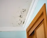 Manchas de moho en el techo y pared, un problema común que requiere remedios caseros para quitar el moho de las paredes.