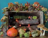 Décoration automne facile à faire : citrouilles, pommes de pin, guirlande de feuilles et champignons dans une caisse en bois.